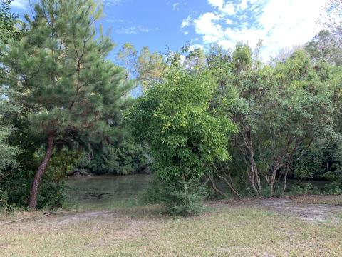 8521 Division Dr, Moss Point, MS 39562 photo 10