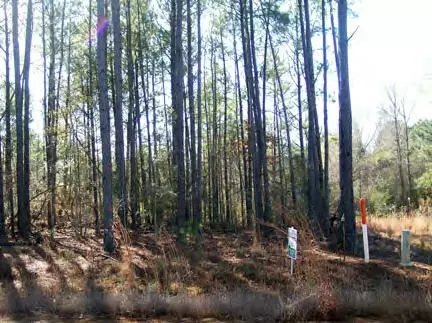 1025 Ruby Ln, Magnolia, MS 39652 photo 1