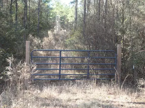 1092 Rocky Hill Rd, Wesson, MS 39191 photo 1