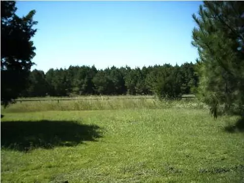 2014 Highway 21, Forest, MS 39074 photo 2