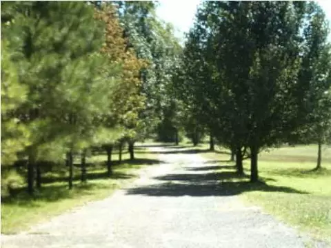 2014 Highway 21, Forest, MS 39074 photo 5