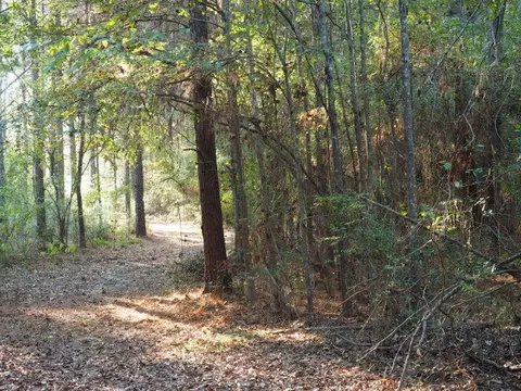 3198 Shell Oil Rd, Summit, MS 39666 photo 1
