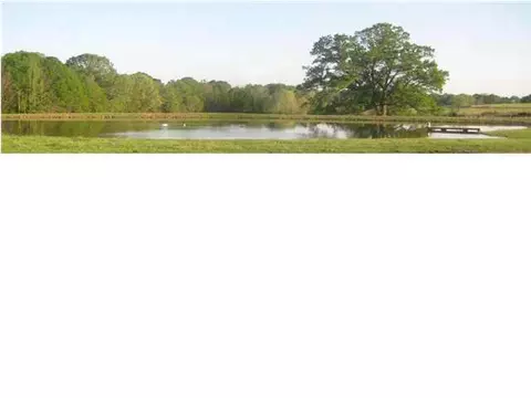 487 Cato Rd, Brandon, MS 39042 photo 17