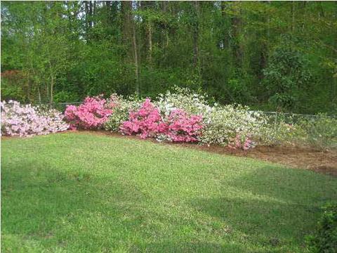 1325 Stanton Dr, Jackson, MS 39211 photo 13