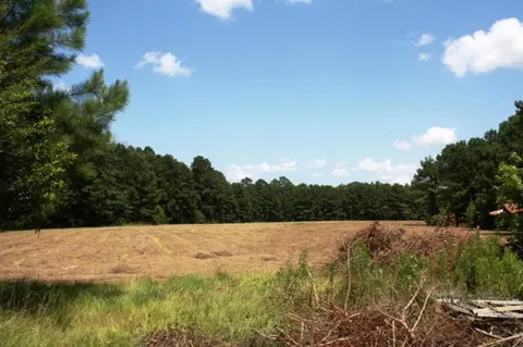 Par.6 &7 Coldwater Church Road, Meadville, MS 39653