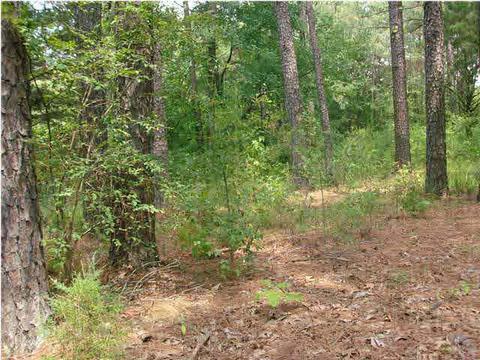 6621 Brock Cir, Brandon, MS 39042 photo 1