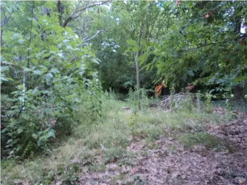 2036 Mcdowell Rd, Jackson, MS 39204 photo 4
