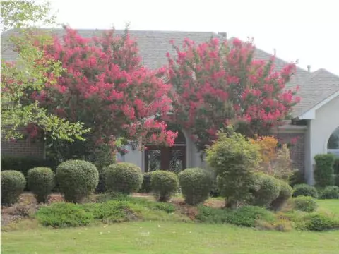 450 Cherry Hill Dr, Madison, MS 39110 photo 5