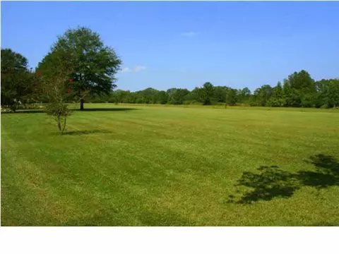 2889 Jack Johnson Rd, Terry, MS 39170 photo 12