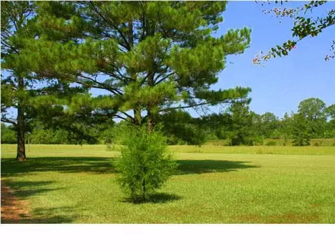 2889 Jack Johnson Rd, Terry, MS 39170 photo 14