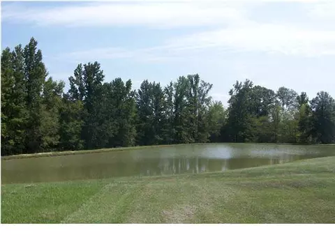 3320 Parsons Rd, Raymond, MS 39154 photo 25