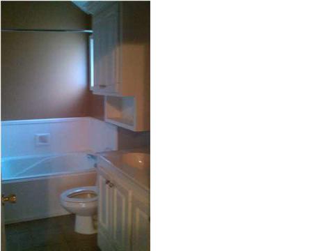107 Briars Bnd, Brandon, MS 39042 photo 3