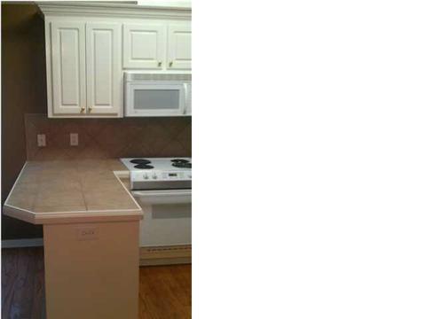 107 Briars Bnd, Brandon, MS 39042 photo 6