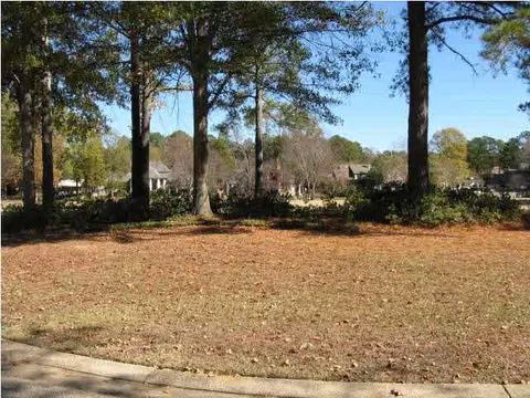 261 Bayview Dr, Madison, MS 39110 photo 17