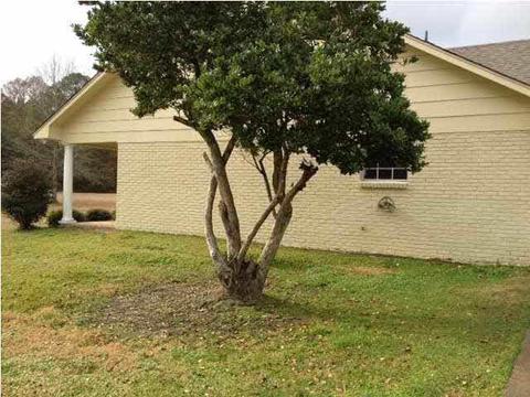 6669 Highway 18 Hwy, Brandon, MS 39042 photo 11
