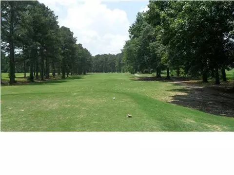 528 Bay Pointe Dr, Brandon, MS 39047 photo 20