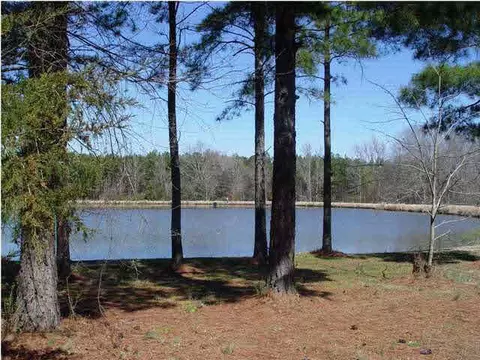 134 Livingston Dr, Madison, MS 39110 photo 2