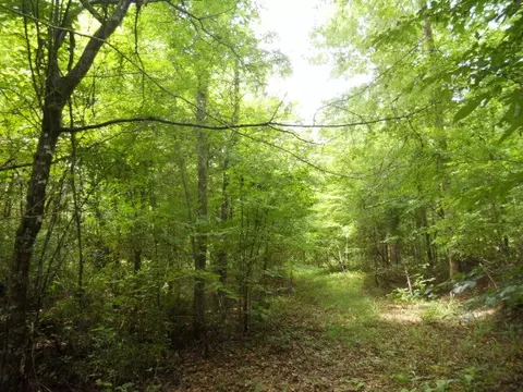 tbd Piney Rd, Crosby, MS 39633 photo 1