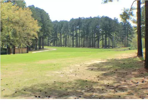 601 Bay Pointe Ln, Brandon, MS 39047 photo 2