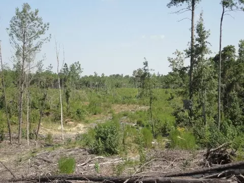 2549 E Lincoln Rd, Brookhaven, MS 39601 photo 1