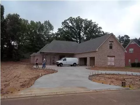 115 Dunleith Way, Clinton, MS 39056 photo 1