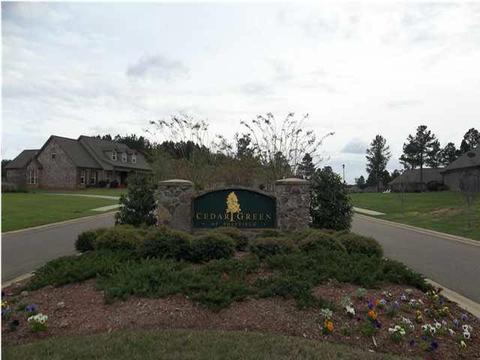 127 Addison Way, Canton, MS 39046 photo 19