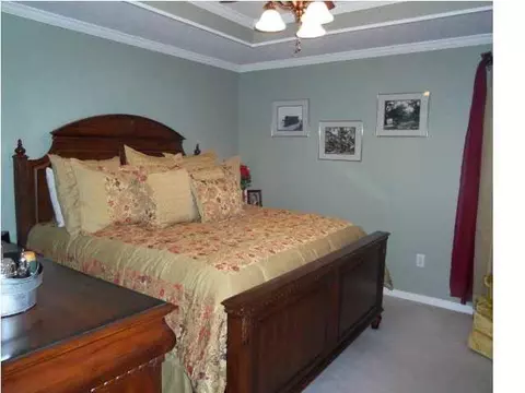217 Azalea Cir, Madison, MS 39110 photo 14