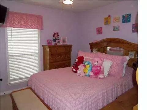 217 Azalea Cir, Madison, MS 39110 photo 12