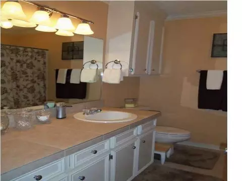 217 Azalea Cir, Madison, MS 39110 photo 13