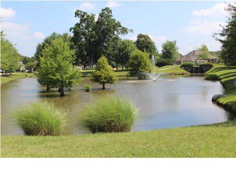 254 Geneva Blvd, Madison, MS 39110 photo 25