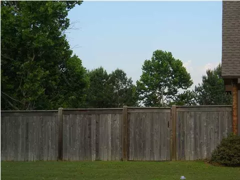 442 Caroline Blvd, Madison, MS 39110 photo 22
