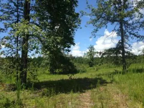 tbd Patterson Rd, Liberty, MS 39645 photo 1