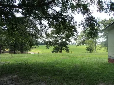 16991 Highway 35, Mize, MS 39116 photo 2