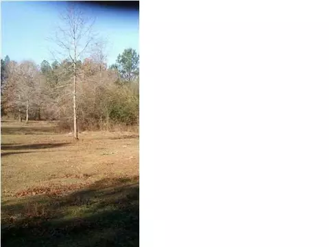 142 Roberts Rd, Braxton, MS 39044 photo 4