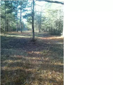 142 Roberts Rd, Braxton, MS 39044 photo 2