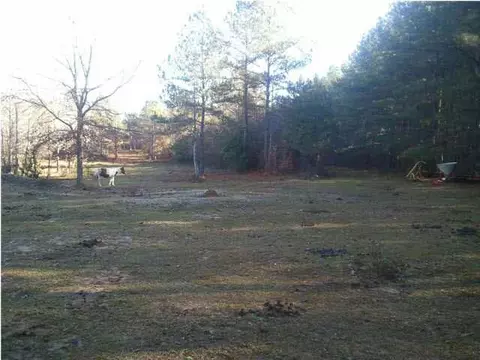 142 Roberts Rd, Braxton, MS 39044 photo 3