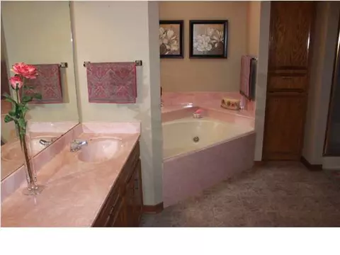 230 Bryan Cv, Byram, MS 39272 photo 10