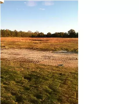 132 Sweetbriar Dr, Canton, MS 39046 photo 14