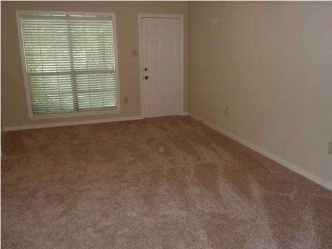 342 Wicklow Cir, Brandon, MS 39047 photo 17
