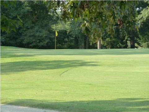 342 Wicklow Cir, Brandon, MS 39047 photo 24