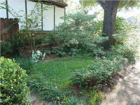 342 Wicklow Cir, Brandon, MS 39047 photo 5