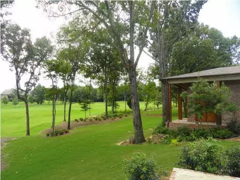113 Fenwick, Madison, MS 39110 photo 3