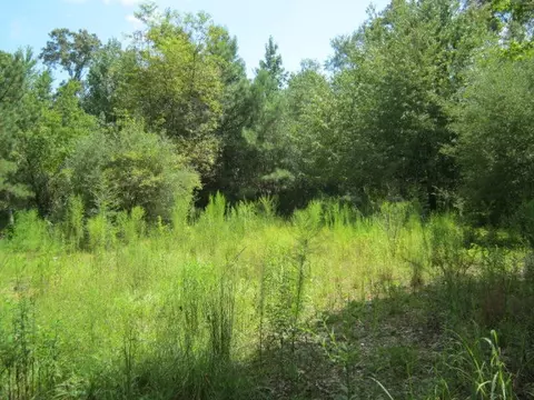 2192 Hwy 98 E, Mccomb, MS 39648 photo 1