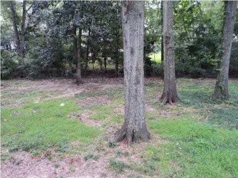 4640 Normandy Dr, Jackson, MS 39206 photo 3