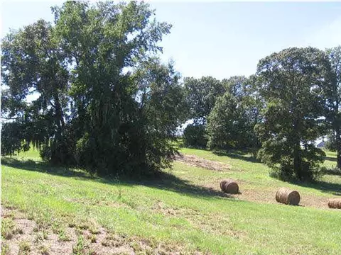 290 Waldrop Ln, Flora, MS 39071 photo 3