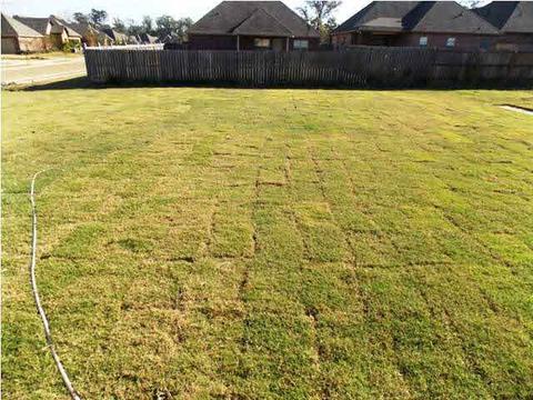 211 Stonebridge Blvd, Brandon, MS 39042 photo 10