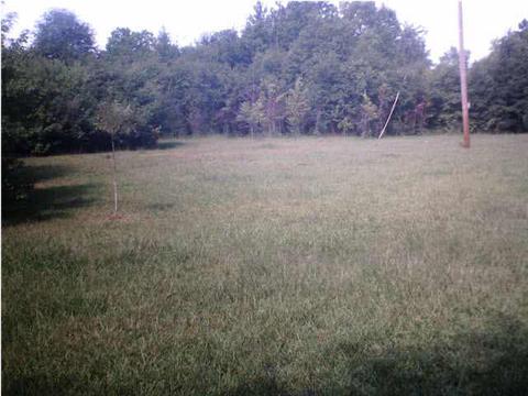 305 N 5th Ave, Magee, MS 39111 photo 15