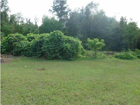 305 N 5th Ave, Magee, MS 39111 photo 19