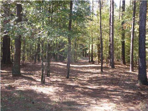 179 Abernathy Rd, Flora, MS 39071 photo 22
