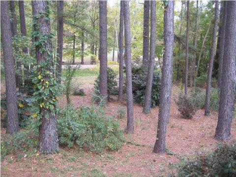 126 Napoleon Dr, Brandon, MS 39047 photo 7